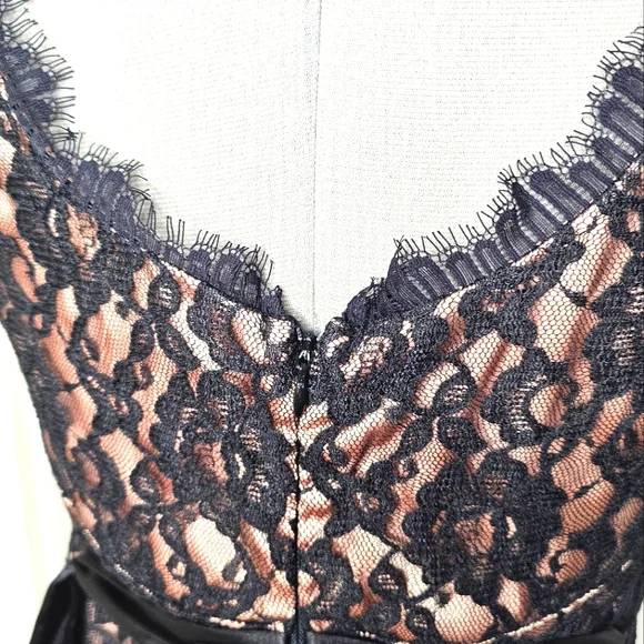 Classy Eliza J New York Black Lace & Nude Champagne Elegant Lady Cocktail Dress - Picture 9 of 15